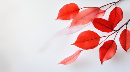 Fototapeta premium Watercolor-painted red fall leaves drifting across white canvas, soft seasonal design
