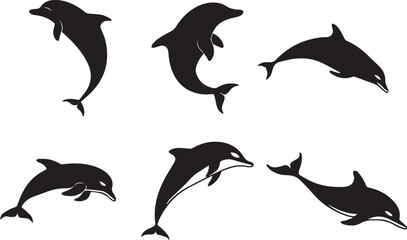 Silhouette of Dolphins A Collection of Aquatic Mammals