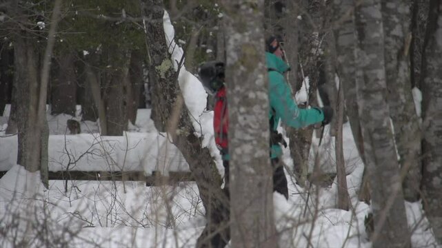 skieur marchant dans la foret japonaise