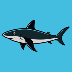 great white shark vector