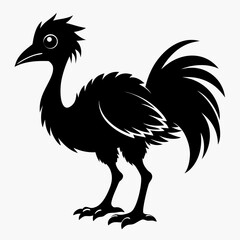 rooster isolated on white