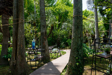 サムエル・コッキング苑、江の島