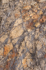 Surface of a rock. Integral Natural Reserve of Inagua. Gran Canaria. Canary Islands. Spain.