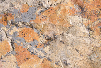 Surface of a rock. Integral Natural Reserve of Inagua. Gran Canaria. Canary Islands. Spain.