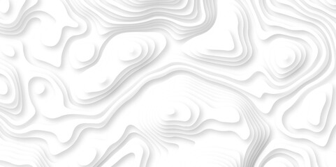 Abstract white paper cut background with lines. Background of the topographic map. White wave paper curved reliefs abstract background. Realistic papercut decoration textured with wavy layers.