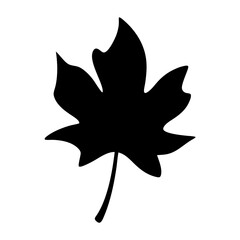 Vector of autumn leaves silhouette, autumn leaf icon vector