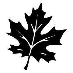 Vector of autumn leaves silhouette, autumn leaf icon vector