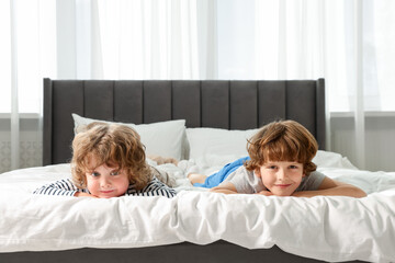 Cute little brothers laying on bed at home. Space for text
