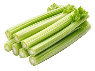 Fototapeta premium Fresh Green Celery Stalks Arranged Neatly on Transparent Isolated Background.