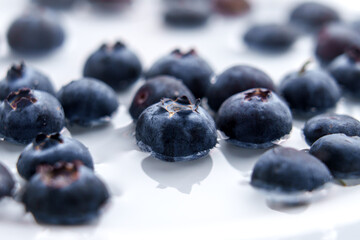Fresh blueberry in water. Close up. Washing juicy summer berries
