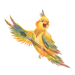 Yellow parrot corella watercolor hand drawn illustration. Cockatiel parrot with paintbrush in beak. Smiling yellow creative tropical bird with rainbow colors paintings on wing feather. Funny playful