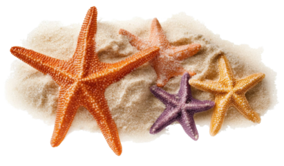 starfish on sand. colorful starfish on beach sand