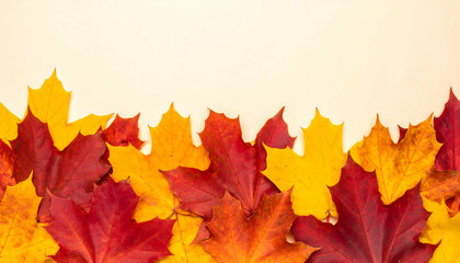 Autumn Maple Leaves Border on Beige Background