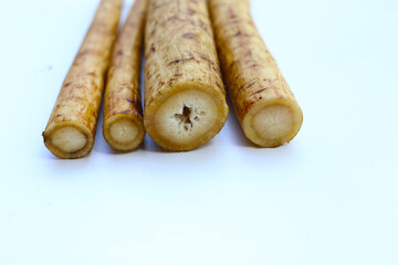 Fresh burdock roots or gobo roots
