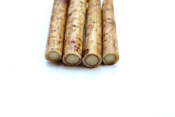 Fresh burdock roots or gobo roots