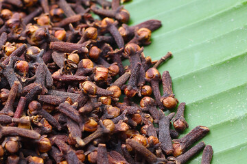 A spice of dried cloves, herbal medicine plant