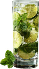 Mojito in Tall Glass