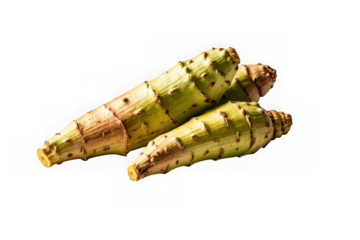 Three fresh organic cardoon stalks isolated