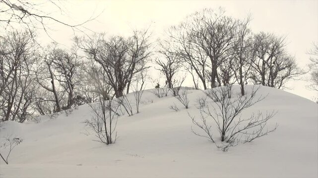Virage poudreuse profonde t&eacute;l&eacute;mark au japon