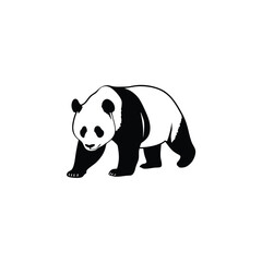 panda bear vector © KamrulHasan