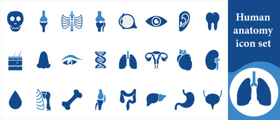 Human anatomy icon set, male, genitals, pain, ankle, arm, leg, hand, toe, finger, illustration, heartburn, neck, contour, acupuncture, knee, calf, headache, organ, internal and more
