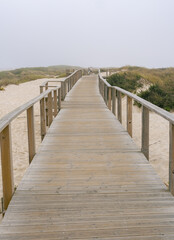 Fototapeta premium wooden walkway to the beach