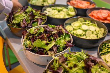 organic and fresh vegetables for a healthy lifestyle