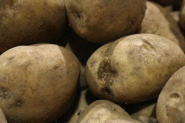 raw potatoes in the market. raw materials for french fries