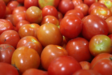 close up of fresh red tomatoes. vitamin a in red tomatoes