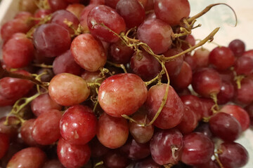 fresh purple grapes. vitamins in purple grapes. healthy food concept