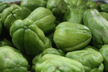 fresh chayote from farm