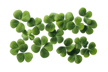 A collection of several green shamrocks arranged on a black background forming a loose rectangle shape