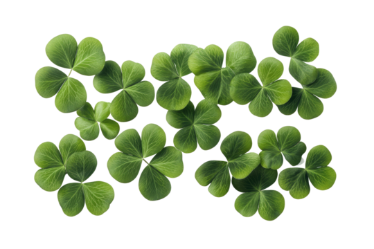 A collection of several green shamrocks arranged on a black background forming a loose rectangle shape
