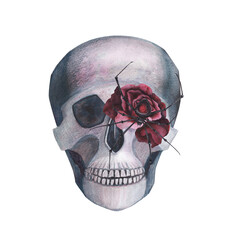 Scull with spider and roses gothic magical texture isolated on white background. Watercolor hand drawn esoterics skull illustration. Art for design mystical halloween witch decoration, scary card
