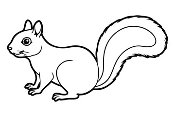 Squirrel line art vector, Squirrel animal icon vector 