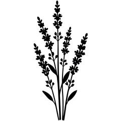Decorative Lavender Plant – Black Floral Silhouette