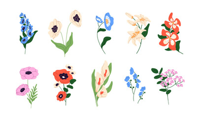 Set of flower branches. Different wildflowers and bloom plants of garden and meadow. Cut lilies, poppies, forget me not with leaves for posy. Flat isolated vector illustrations on white background