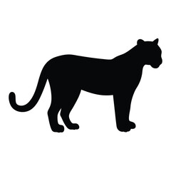 Silhouette of a large feline walking on a white background display