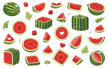 Juicy watermelon collection. Flat vector illustrations of whole fruit, fresh slices and leaves on white background. Ideal for sticker packs, food branding, beverage labels, summer merch, market, decor