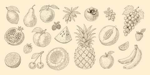 A drawing of various fruits and vegetables, including apples, bananas, and oranges.