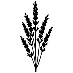 Fototapeta premium Lavender Silhouette: A stylish black silhouette of lavender, a symbol of natural beauty and tranquility, artfully captured, perfect for adding a touch of elegance and charm to any design.