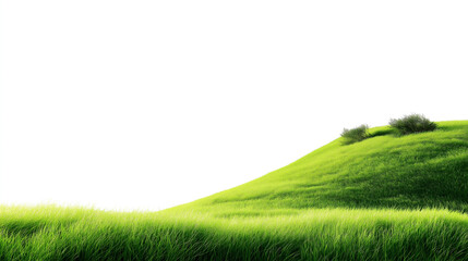 green grass on a hill
