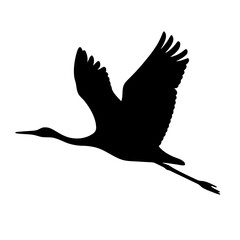 Silhouette of a crane soaring, wings spread against a white background