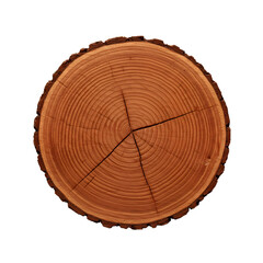 Obraz premium Tree Trunk Cross Section with Growth Rings 