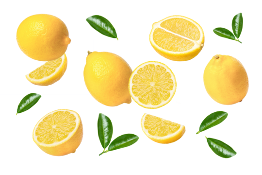 set of lemon isolated