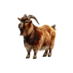 Obraz premium Majestic Long-haired Goat, Isolated on transparent background