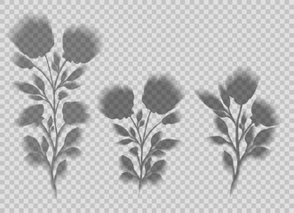 Vector set of transparent blurred shadow flowers. Collection of flower silhouettes