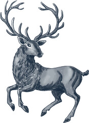 Freehand vector vintage featuring a blue deer highlighted on a white background. The texture of writing materials. Handwritten valentines and pencil strokes. A hand-drawn reindeer