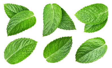Mint leaves isolated on white. Collection spearmint leaves clipping path. Mint set macro studio photo