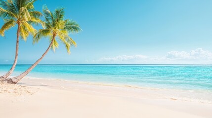 Obraz premium Tropical beach with clear blue water, white sand, and palm trees under bright sunny sky